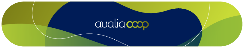 Iniciado Novo Ciclo de Devolutivas Assistidas do AvaliaCoop 2025 - Governança e Gestão