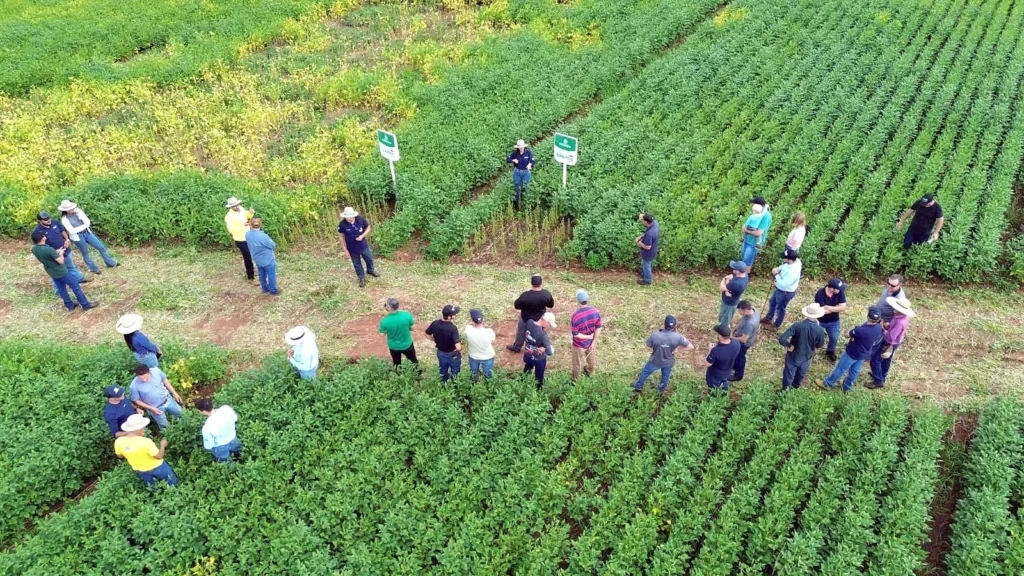 Coapa promove Tour da Soja 2026 e apresenta 27 variedades para orientar produtores na escolha de cultivares