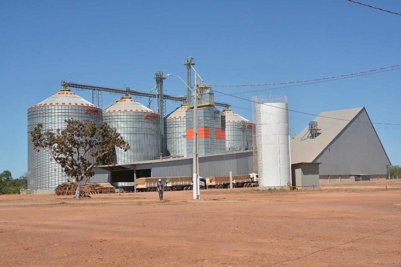 Agronegócio tocantinense: cooperados da Frísia, segunda cooperativa mais antiga do Brasil, produziram só no ano de 2019 mais de 75 mil toneladas de soja e milho